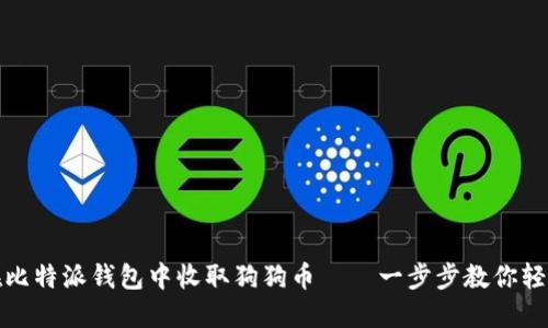 如何在比特派钱包中收取狗狗币——一步步教你轻松操作