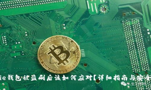 Bitpie钱包被盗刷后该如何应对？详细指南与安全建议