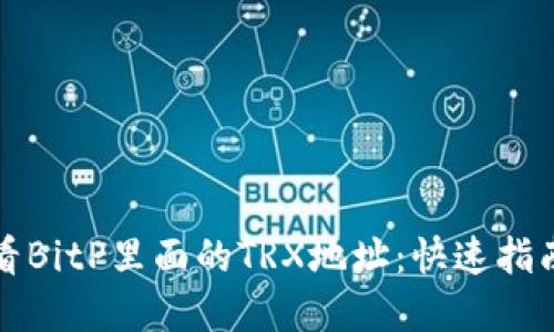 如何轻松查看BitP里面的TRX地址：快速指南与实用技巧