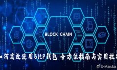 如何高效使用BitP钱包：全方位指南与实用技巧