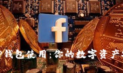 全面解析BitP钱包使用：你的数字资产安全护航专家