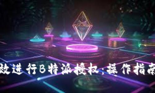 如何高效进行B特派授权：操作指南与技巧