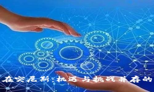 数字货币在突尼斯：机遇与挑战并存的未来之路