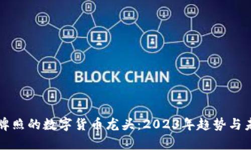 全球有牌照的数字货币龙头：2023年趋势与未来展望