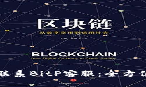 如何联系BitP客服：全方位指南
