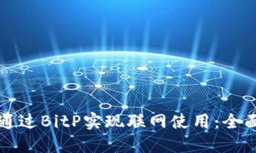 如何通过BitP实现联网使用：全面指南