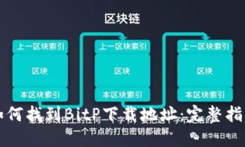 如何找到BitP下载地址：完整指南