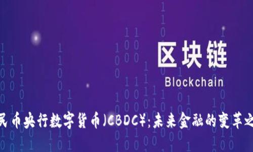 人民币央行数字货币（CBDC）：未来金融的变革之路