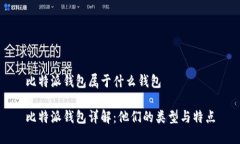 比特派钱包属于什么钱包比特派钱包详解：他们