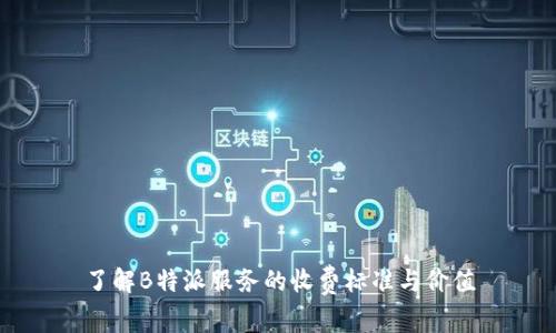 了解B特派服务的收费标准与价值