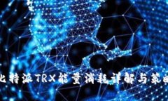 比特派TRX能量消耗详解与策略