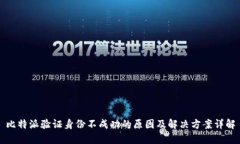 比特派验证身份不成功的原因及解决方案详解