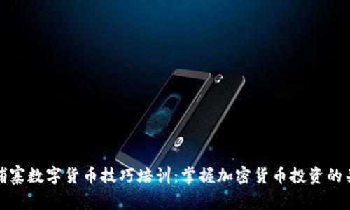 柬埔寨数字货币技巧培训：掌握加密货币投资的关键