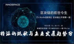 B特派的现状与未来发展趋势分析