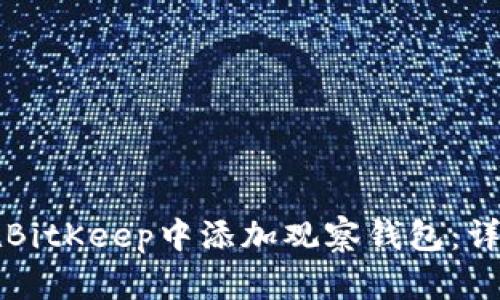 如何在BitKeep中添加观察钱包：详细指南