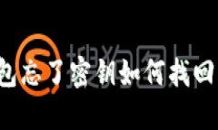 比特派钱包忘了密钥如何找回？完整指南