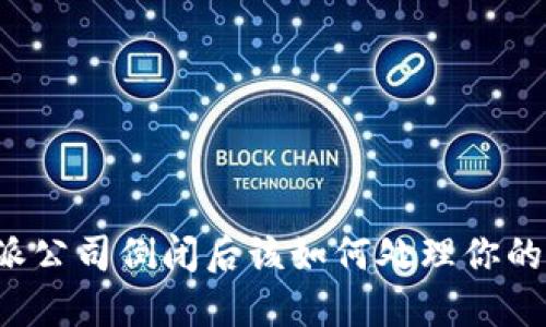 比特派公司倒闭后该如何处理你的资产？