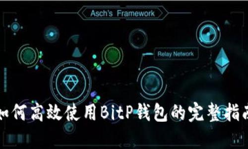 如何高效使用BitP钱包的完整指南