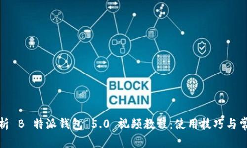 全面解析 B 特派钱包 5.0 视频教程：使用技巧与常见问题